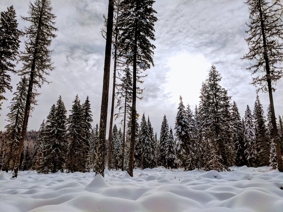 Winter Wonderland in&nbsp;Whitefish