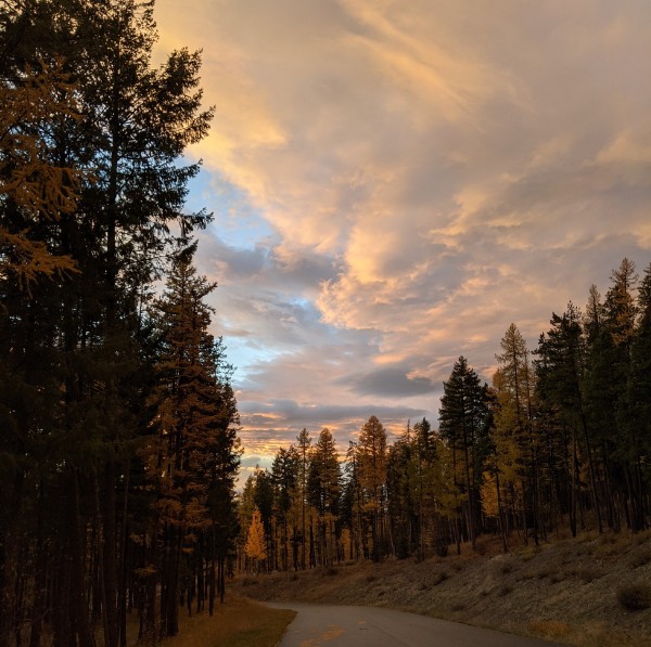 Fall in Love with&nbsp;Whitefish!